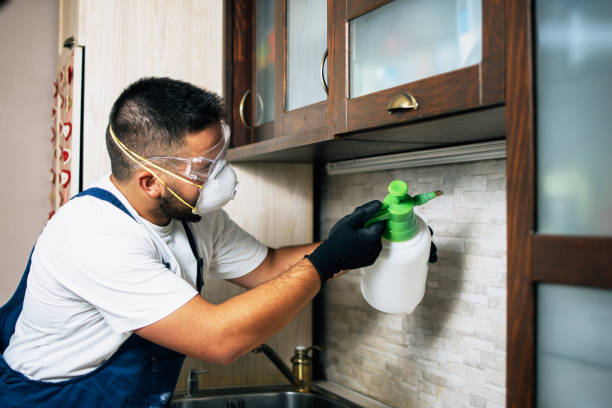 Best Cockroach Control Services  in Middlesborough, KY