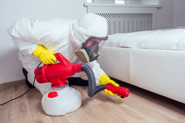 Best Affordable Pest Control Services  in Middlesborough, KY